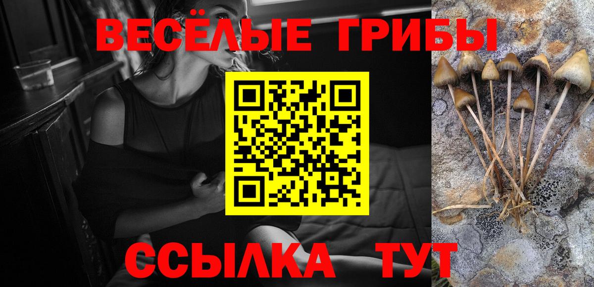 Псилоцибиновые грибы GOLDEN TEACHER Арзамас