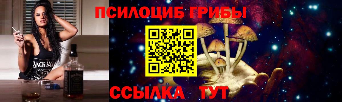 Арзамас  Псилоцибиновые грибы мицелий  купить   Вход с VPN  Псилоцибиновые грибы прущие грибы 